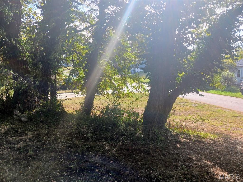 600 Miller Street Alton, IL 62002 - Photo 9 of 11