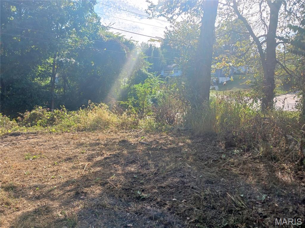 600 Miller Street Alton, IL 62002 - Photo 10 of 11