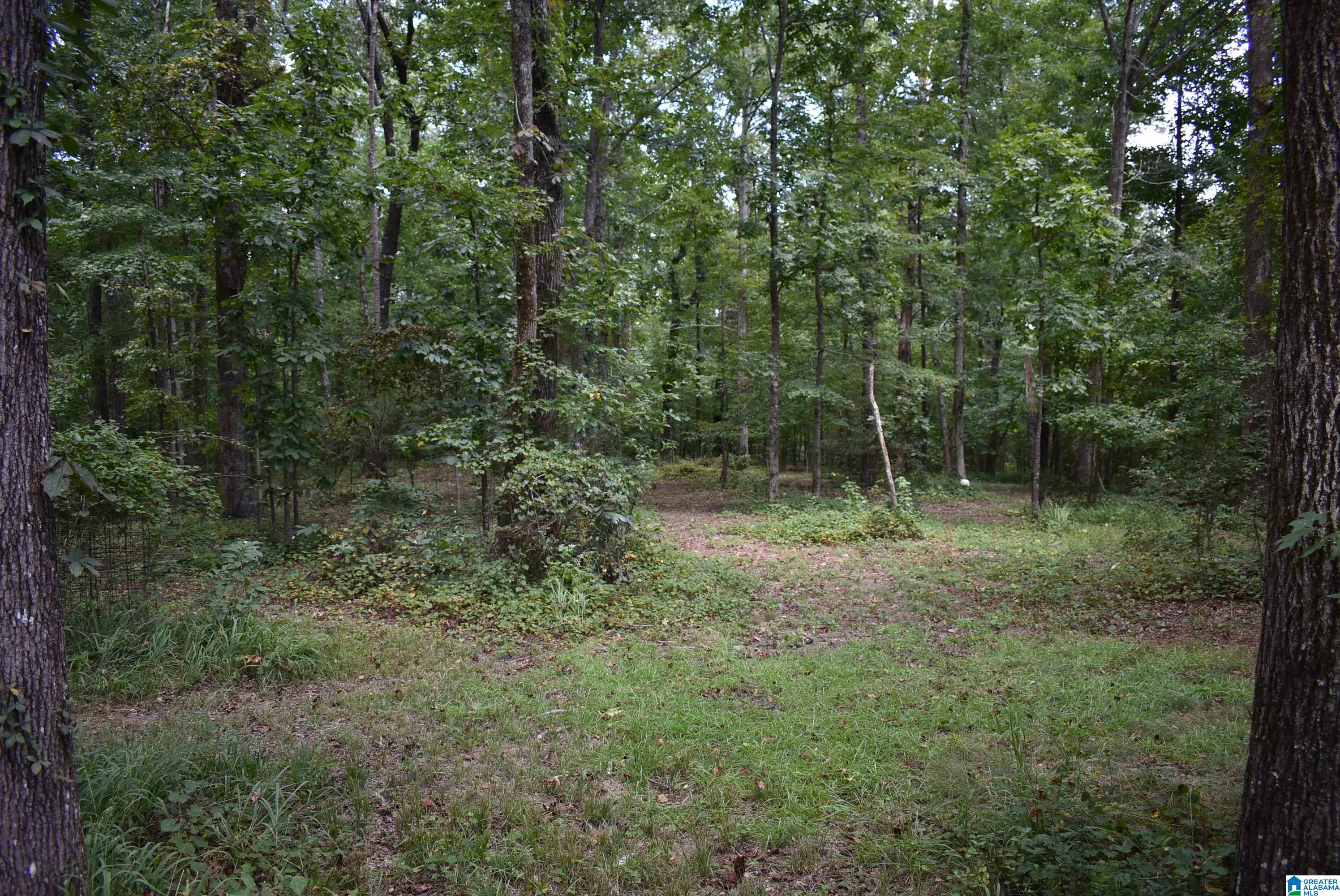 7432 Roper Road, Unit 4 Trussville, AL 35173 - Photo 13 of 19