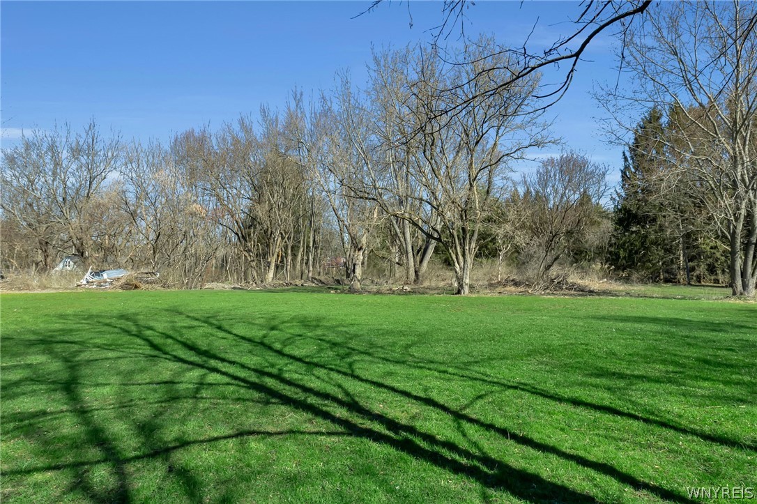 11612 Big Tree Road Wales, NY 14052 - Photo 6 of 45