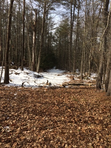 56 Campground Road Lee, NH 03861 - Photo 24 of 31