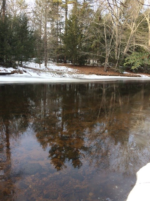 56 Campground Road Lee, NH 03861 - Photo 30 of 31