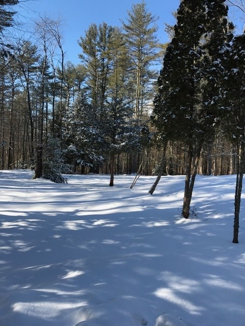 56 Campground Road Lee, NH 03861 - Photo 4 of 31