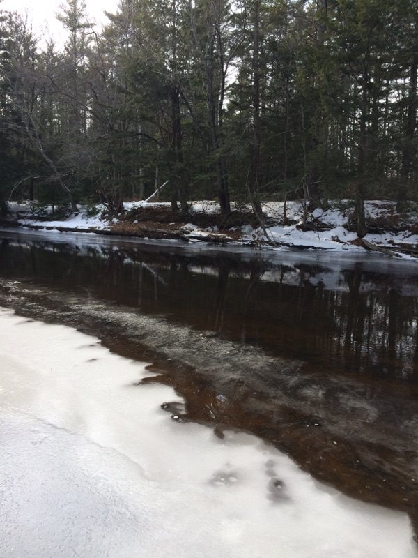 56 Campground Road Lee, NH 03861 - Photo 31 of 31