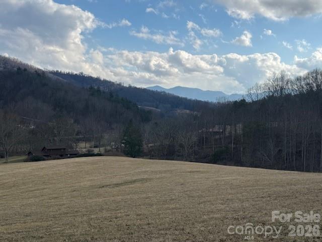 132 Hurd Road Canton, NC 28716 - Photo 24 of 41