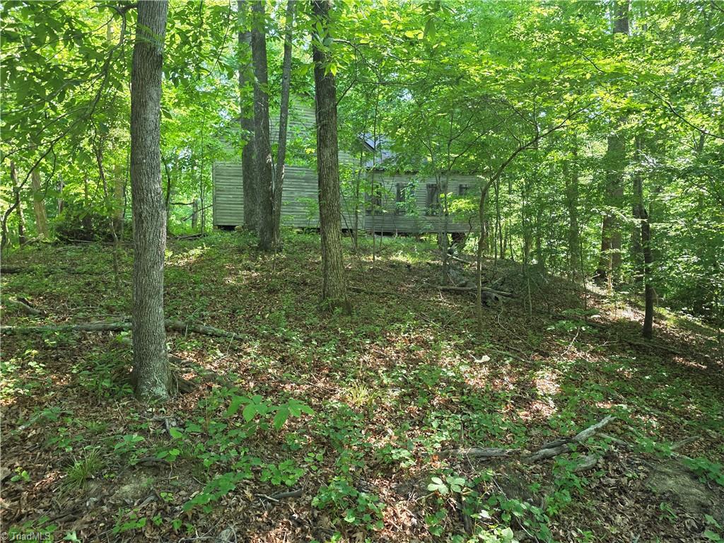 1055 Ed Booth Road Westfield, NC 27053 - Photo 11 of 15