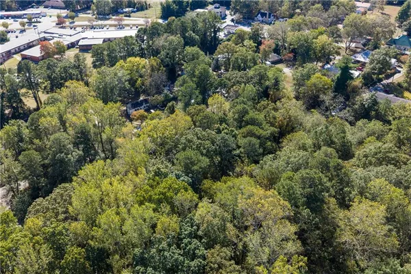 a view of a forest with a street