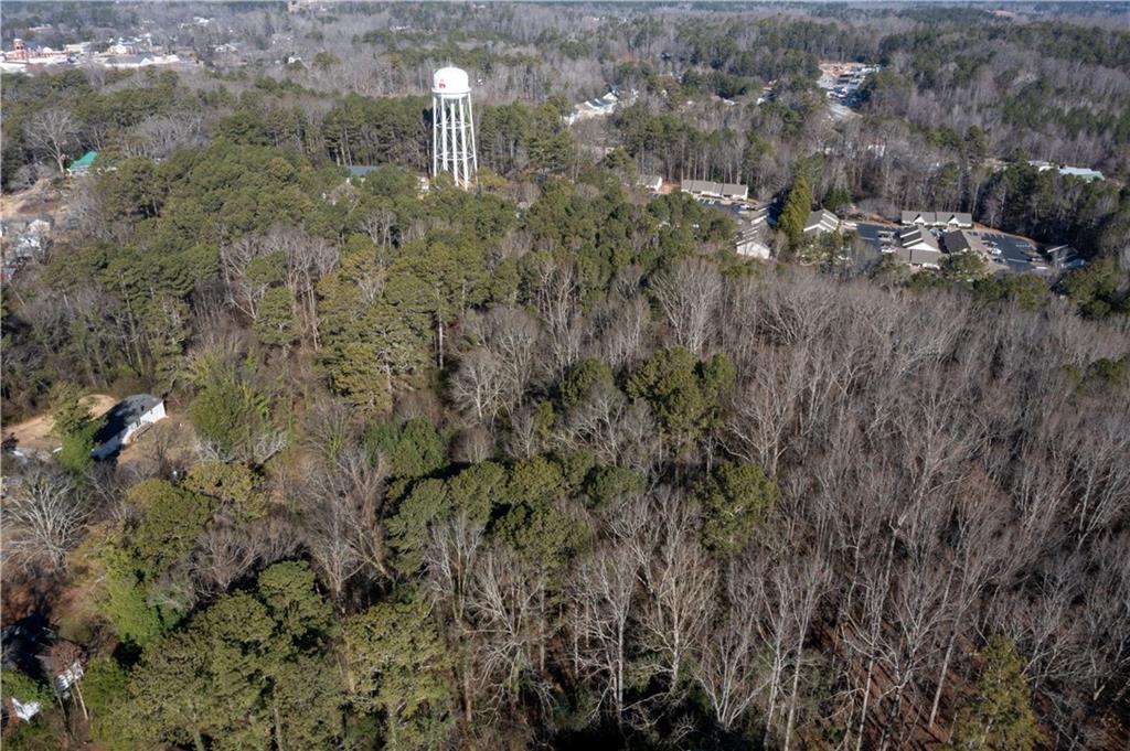 0 East Foster Avenue Dallas, GA 30132 - Photo 18 of 48 a view of a forest with a yard and large trees