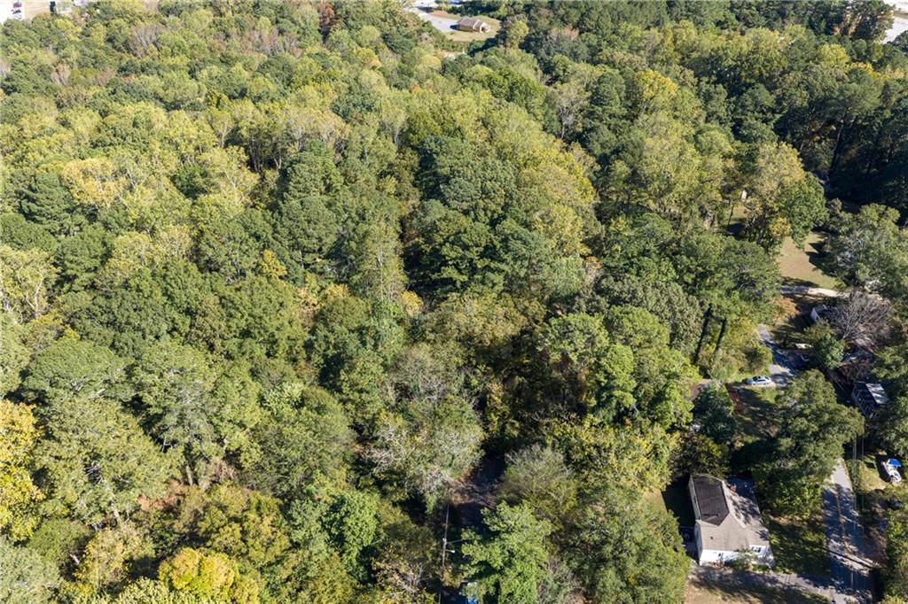 0 East Foster Avenue Dallas, GA 30132 - Photo 3 of 48