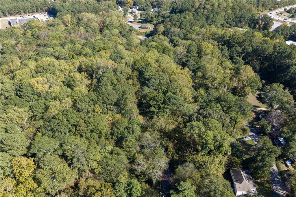 0 East Foster Avenue Dallas, GA 30132 - Photo 7 of 48 a view of a bunch of trees and bushes