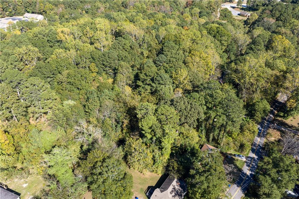 0 East Foster Avenue Dallas, GA 30132 - Photo 8 of 48 a view of a bunch of trees and bushes