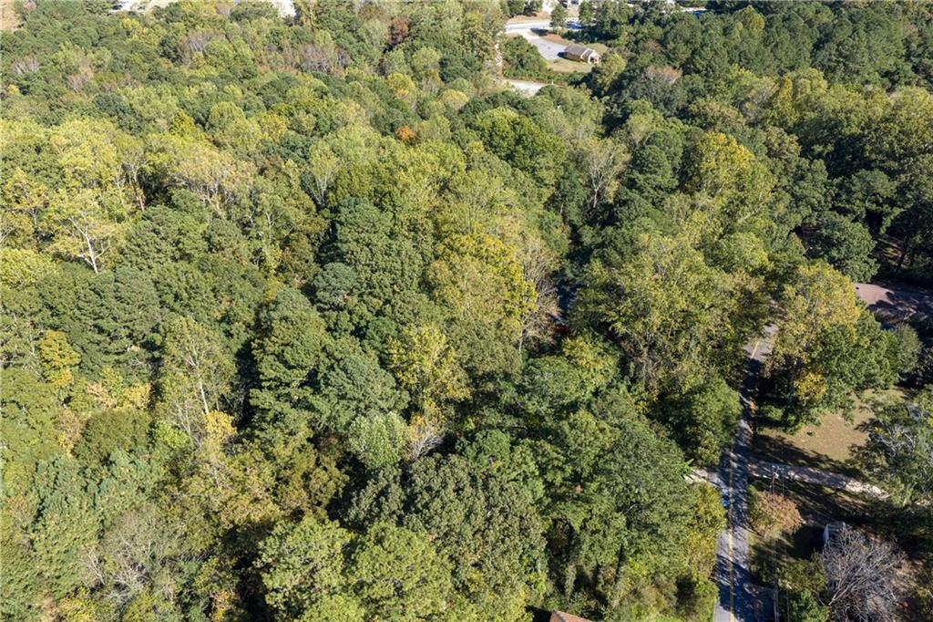 0 East Foster Avenue Dallas, GA 30132 - Photo 9 of 48 a view of a tree