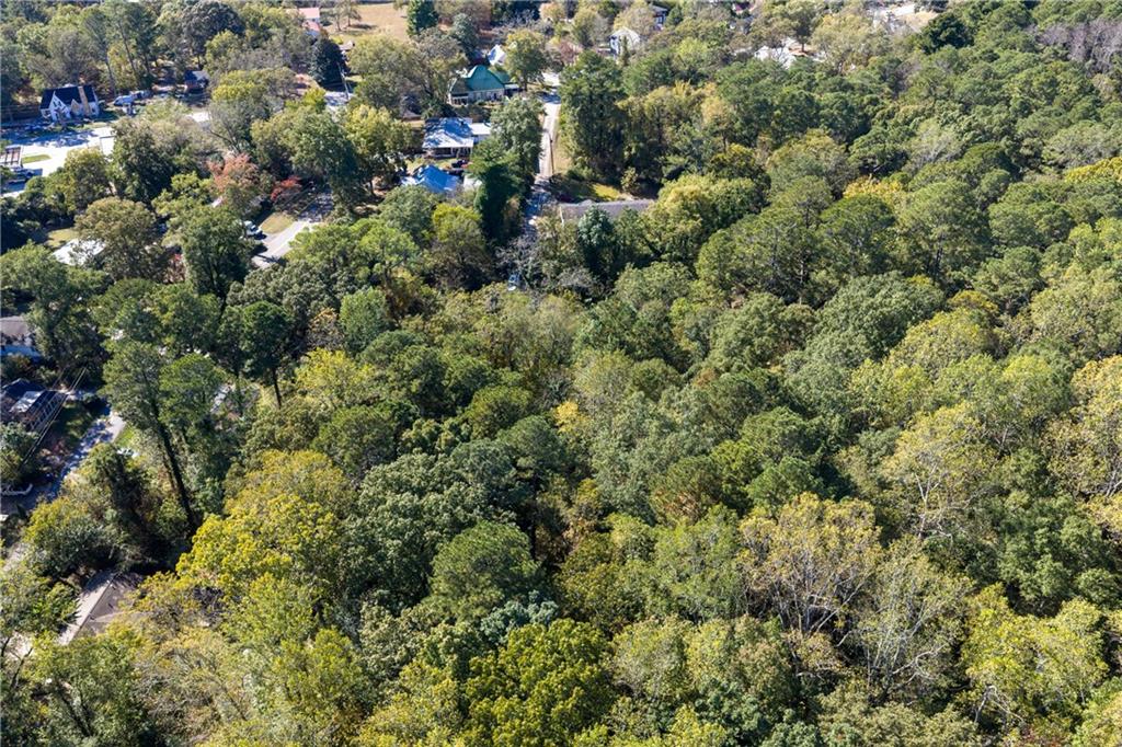 0 East Foster Avenue Dallas, GA 30132 - Photo 10 of 48