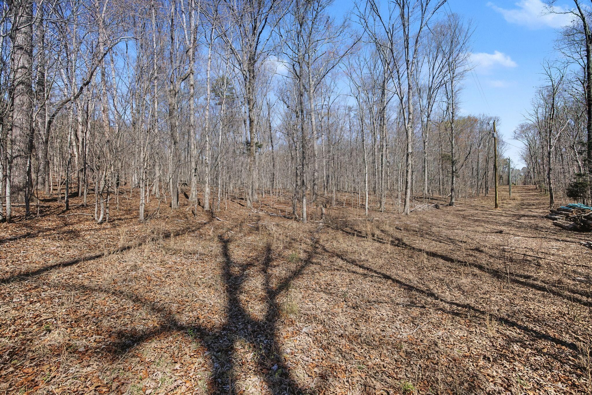 4749 Parker Loop Road Birchwood, TN 37308 - Photo 8 of 31 Gallery Image 8
