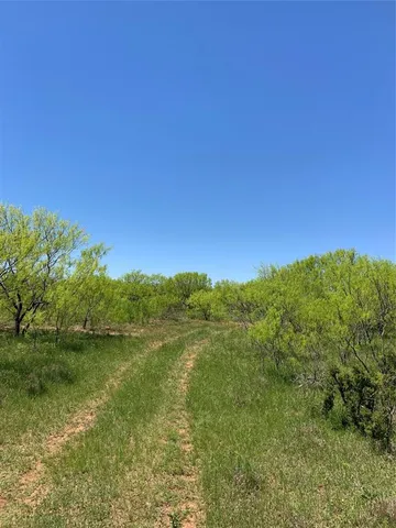 a view of a field with an ocean
