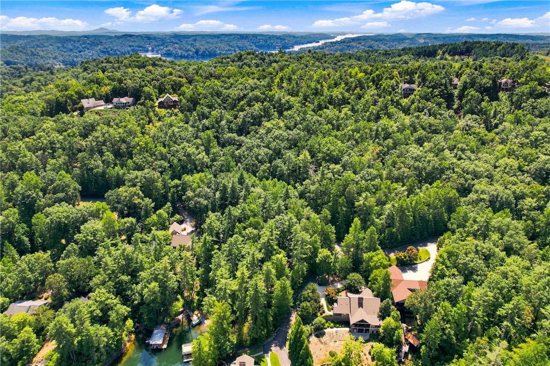 927 Bay Ridge Drive Salem, SC 29676 - Photo 12 of 15 Lush forested hills surround a quiet waterway under a bright blue sky.