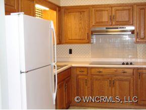 38 Camelfield Road Weaverville, NC 28787 - Photo 4 of 11 Gallery Image 4