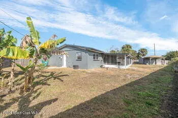 a picture of a plant