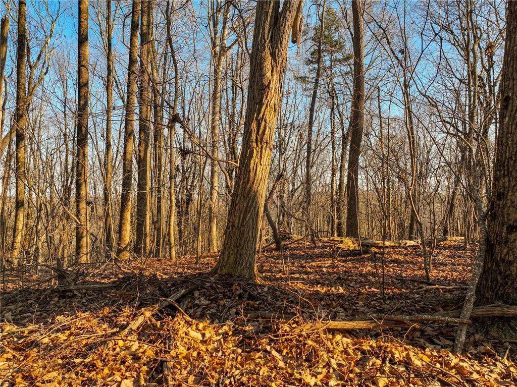 Lot 4 Mount Mincie Road Murrayville, GA 30564 - Photo 11 of 15 a view of house with a space