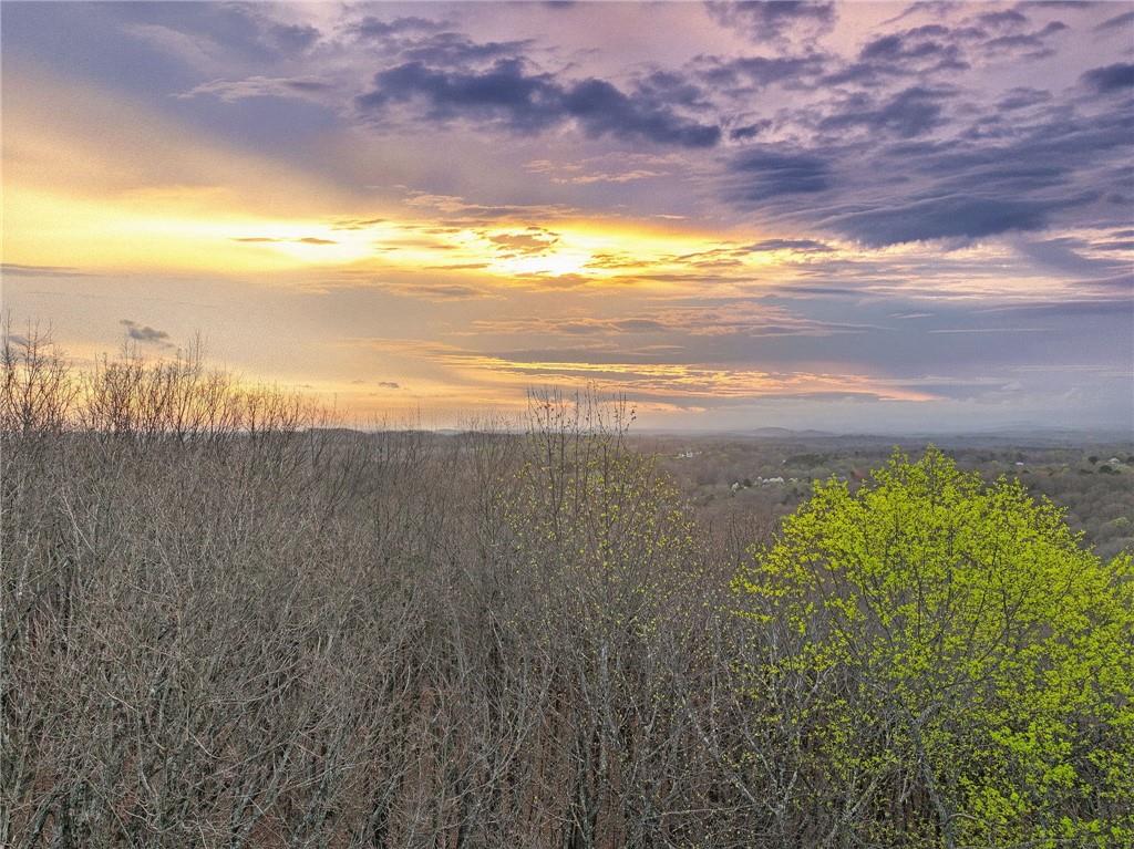 Lot 4 Mount Mincie Road Murrayville, GA 30564 - Photo 14 of 15