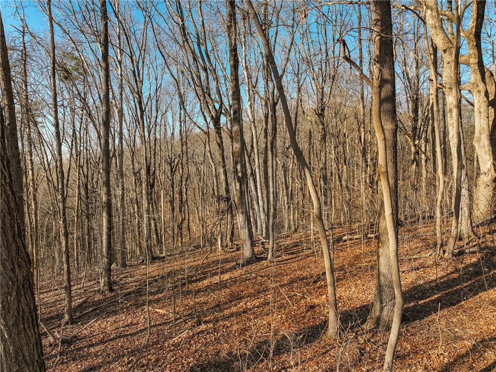 Lot 4 Mount Mincie Road Murrayville, GA 30564 - Photo 15 of 15 a view of wooden door