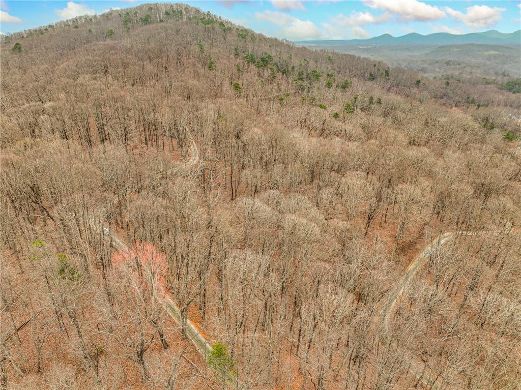 Lot 4 Mount Mincie Road Murrayville, GA 30564 - Photo 5 of 15 a view of a dry field with trees in the background