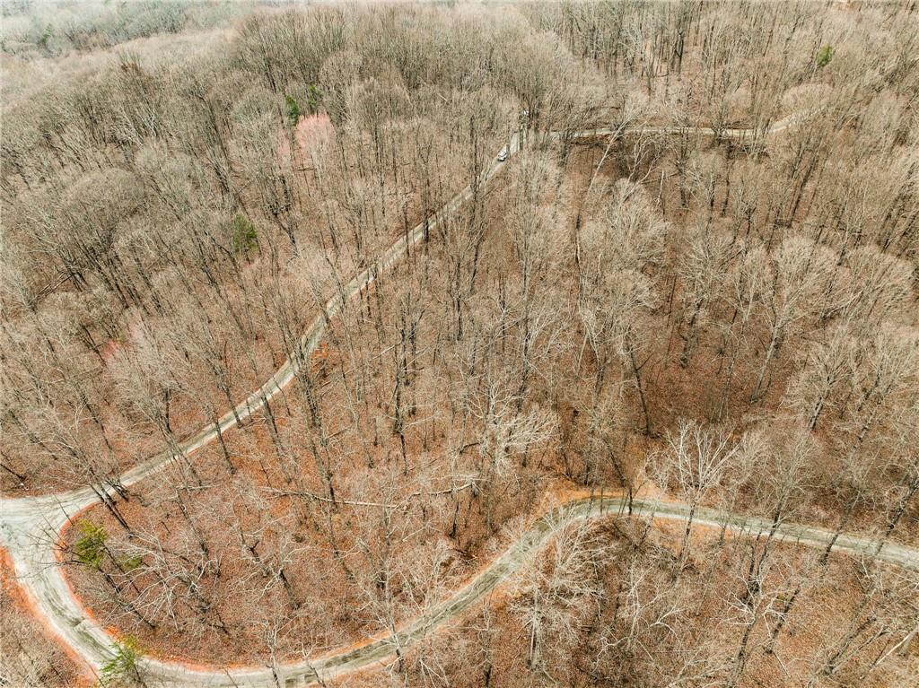 Lot 4 Mount Mincie Road Murrayville, GA 30564 - Photo 6 of 15 a view of a dry yard with wooden fence