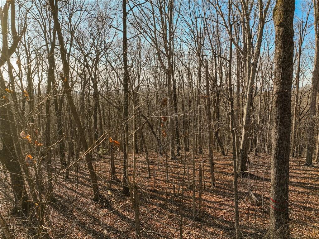 Lot 4 Mount Mincie Road Murrayville, GA 30564 - Photo 7 of 15 a view of a yard