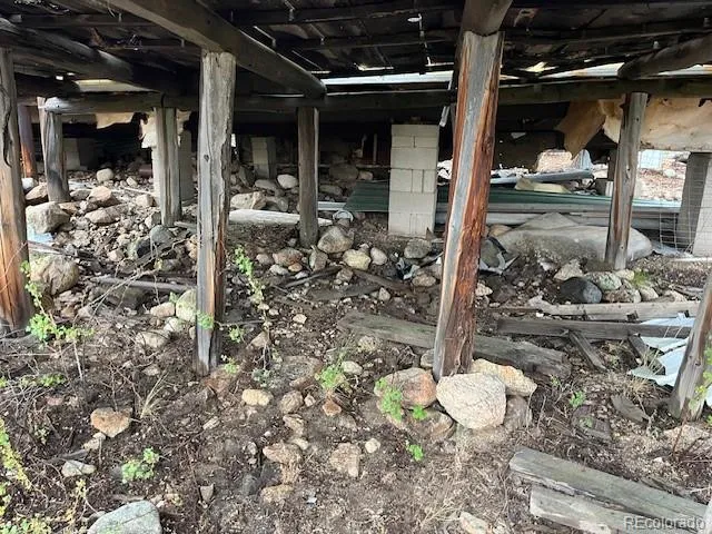 a view of a forest with trees in the background
