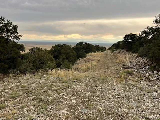 a view of mountain view with trees