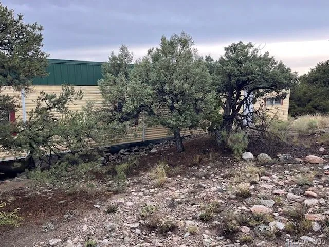 a view of a yard with plants and trees