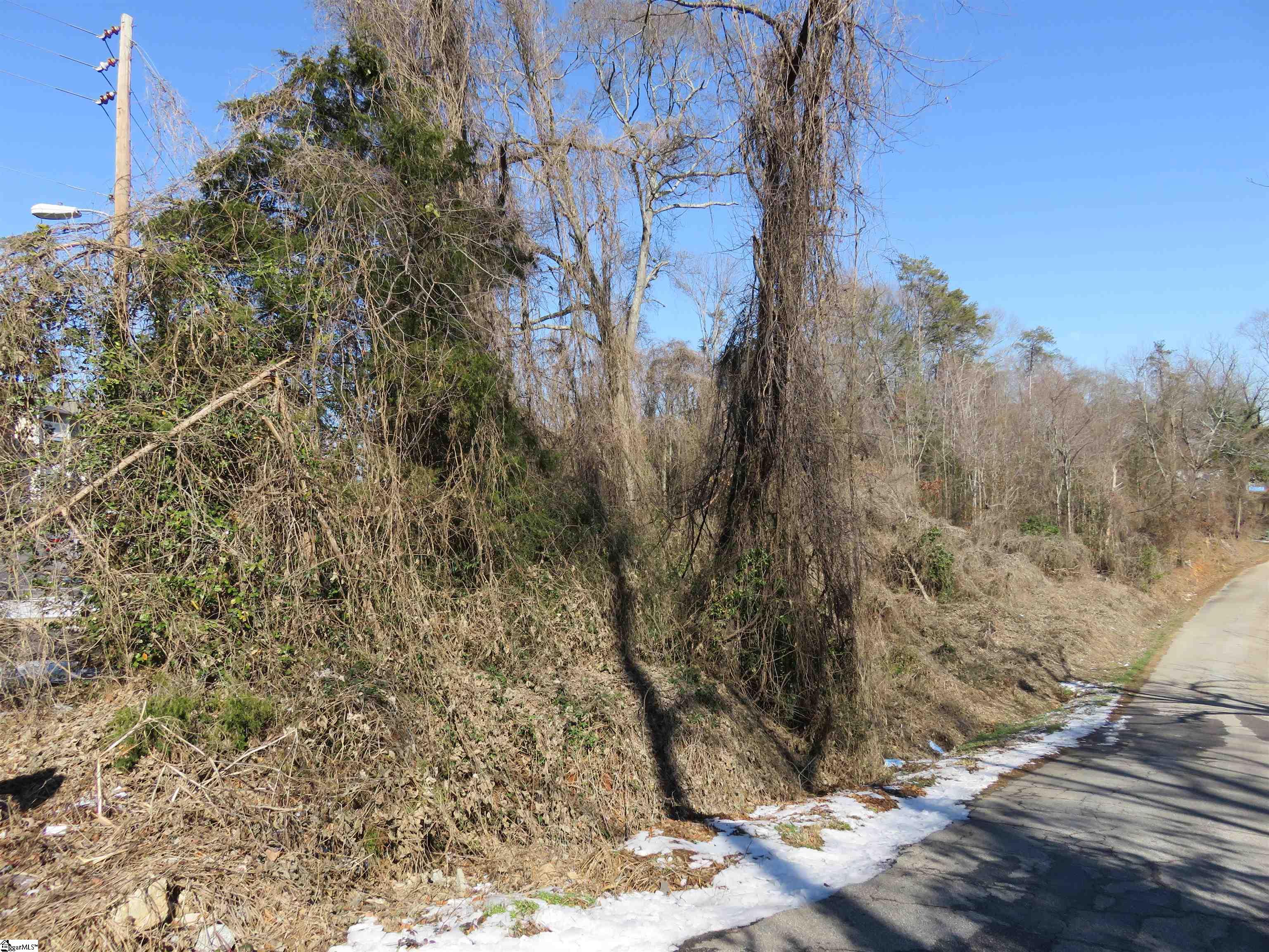 160 Lincoln Road Taylors, SC 29687 - Photo 2 of 7