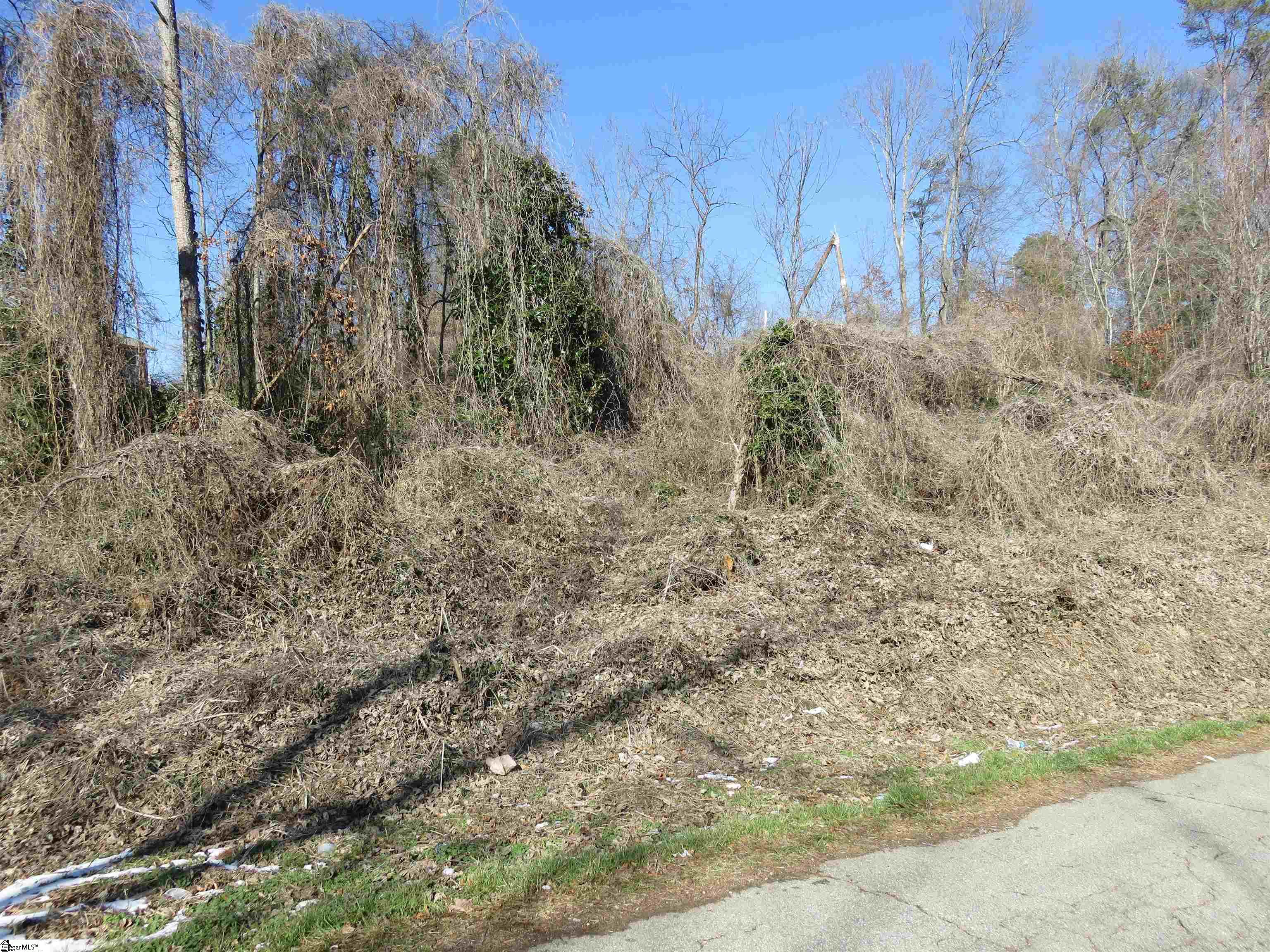 160 Lincoln Road Taylors, SC 29687 - Photo 3 of 7