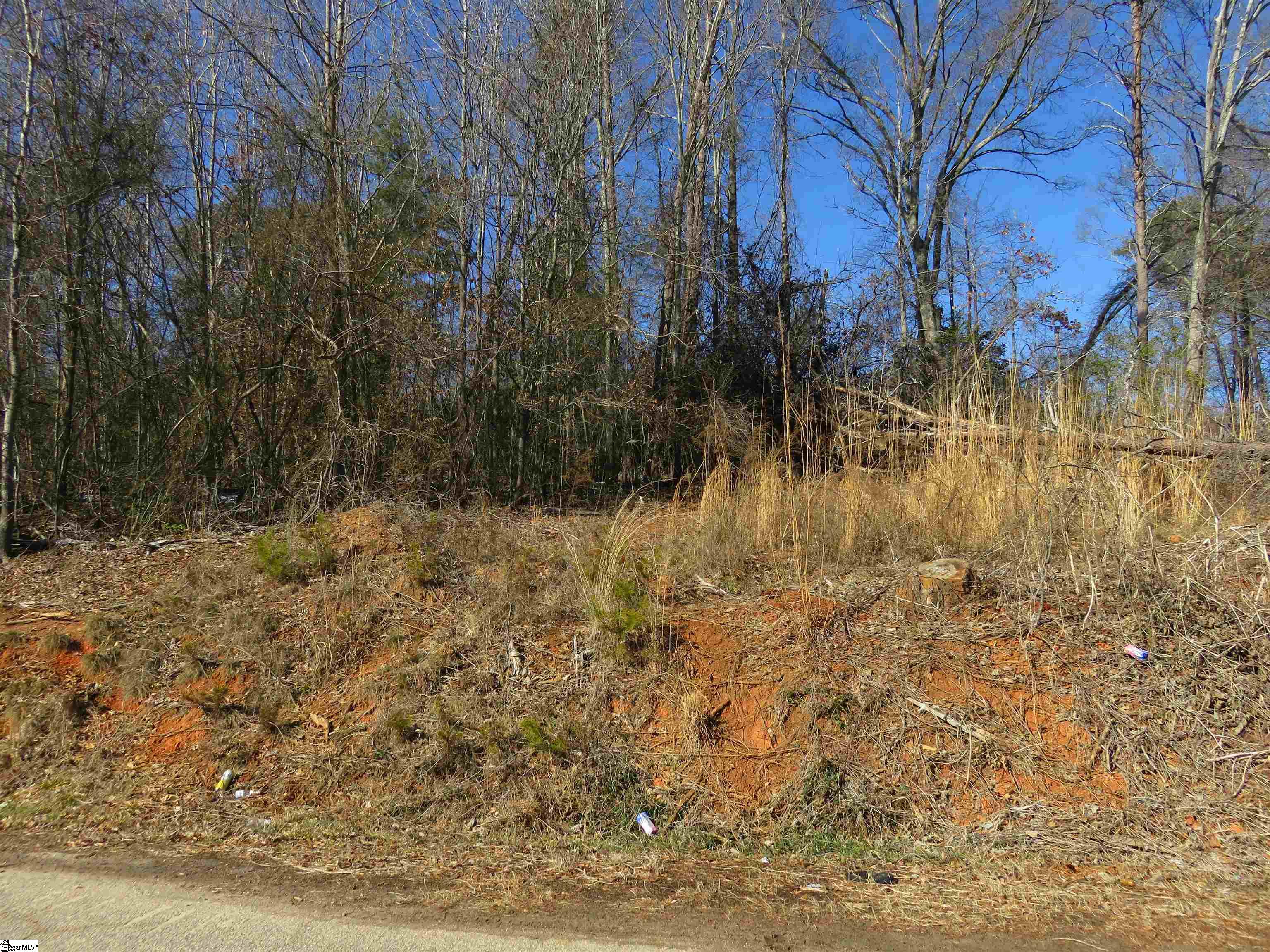 160 Lincoln Road Taylors, SC 29687 - Photo 4 of 7