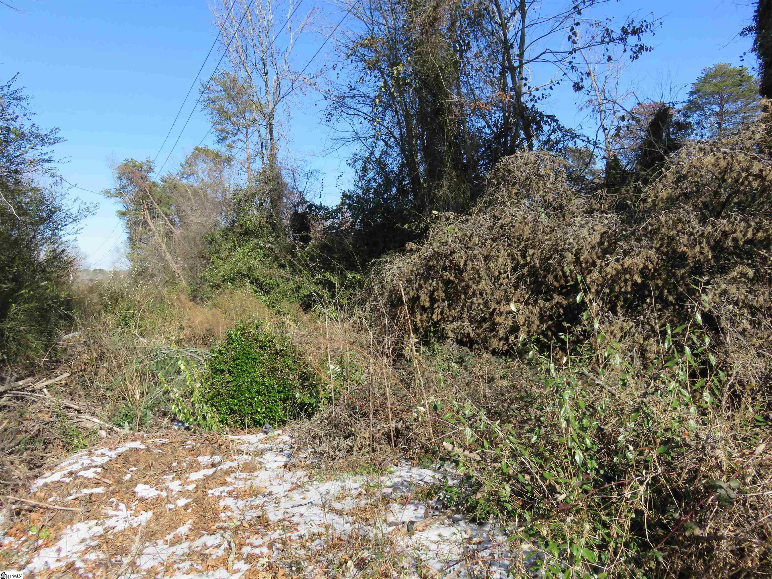 160 Lincoln Road Taylors, SC 29687 - Photo 6 of 7