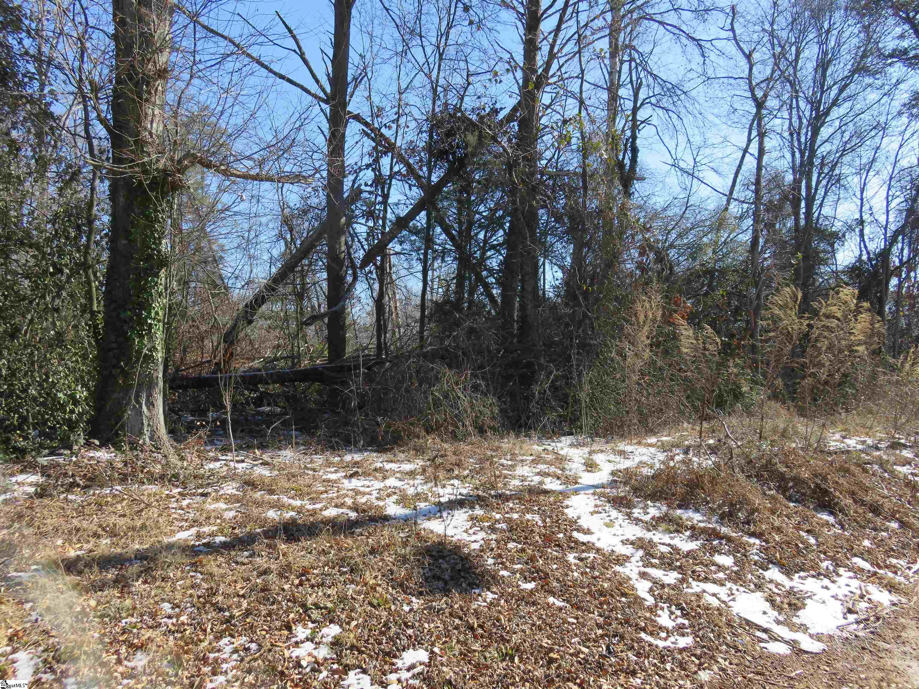 160 Lincoln Road Taylors, SC 29687 - Photo 7 of 7