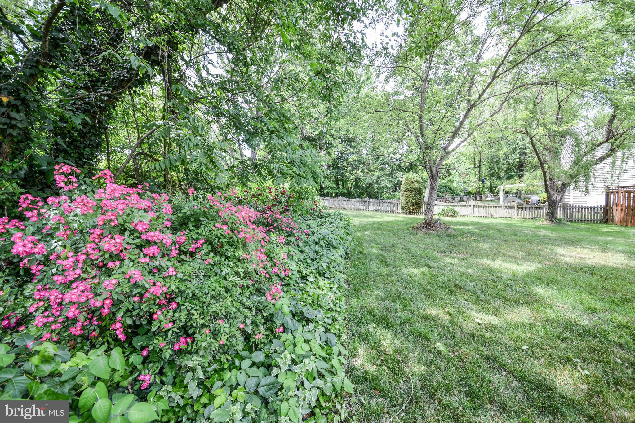 7202 Racepoint Way Alexandria, VA 22315 - Photo 22 of 27 Exterior (Rear)