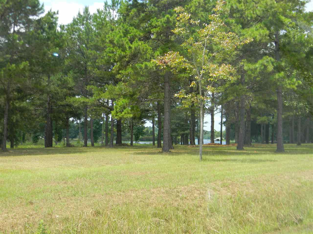 0 F O Fop Lodge Road Andalusia, AL 36421 - Photo 2 of 3 Gallery Image 2