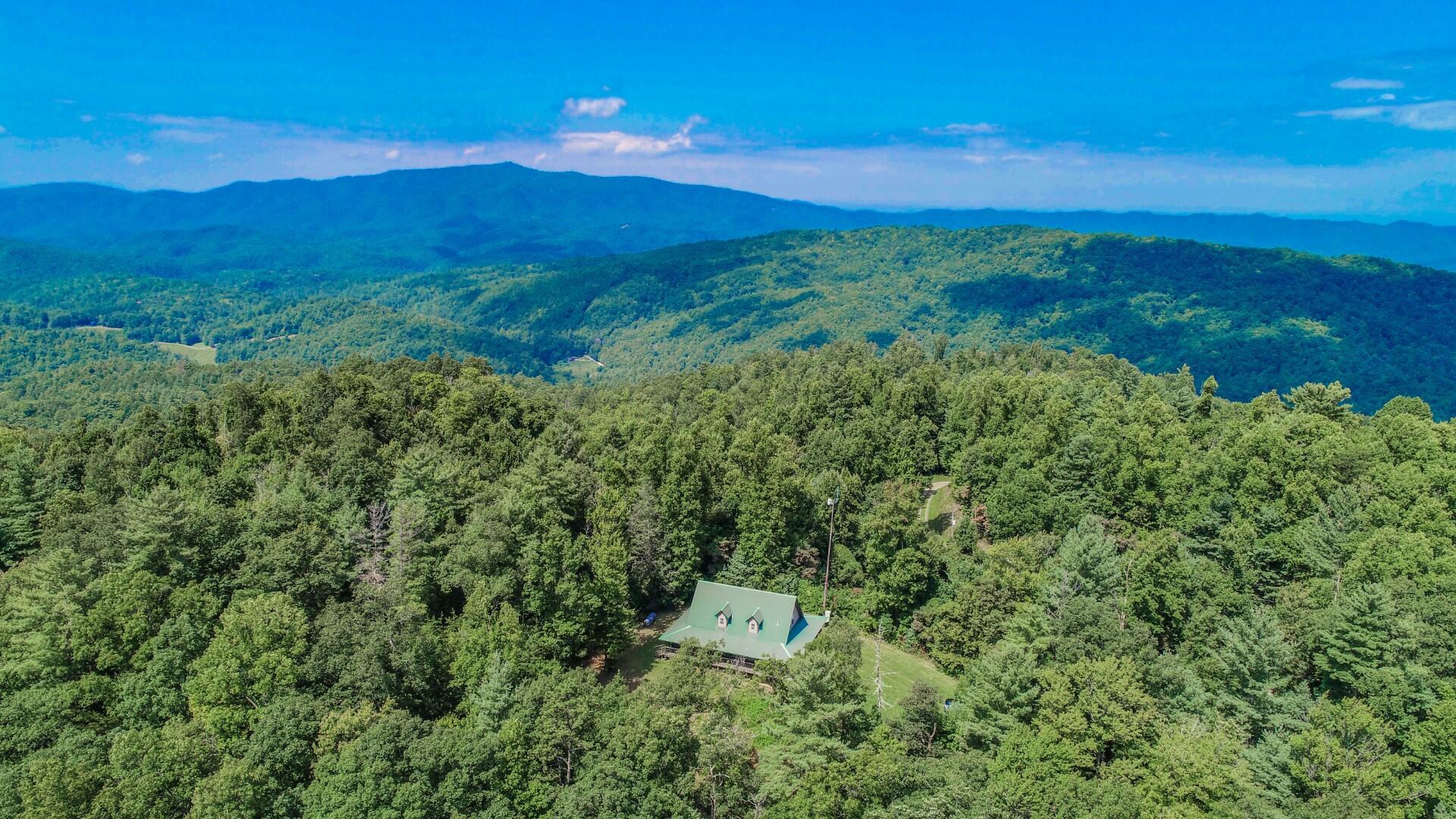 994 Ridge Hollow Road Del Rio, TN 37727 - Photo 10 of 33 11