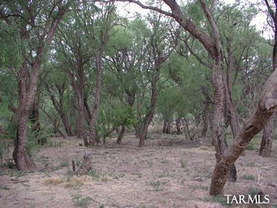 1500 South Astronomers Road St. David, AZ 85630 - Photo 3 of 15 Gallery Image 3