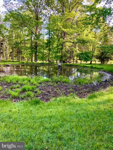 a view of a park with large trees