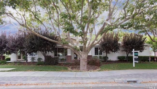 522 Entrada Drive, Unit 101 Novato, CA 94949 - Photo 1 of 1 a tree in the garden of a building