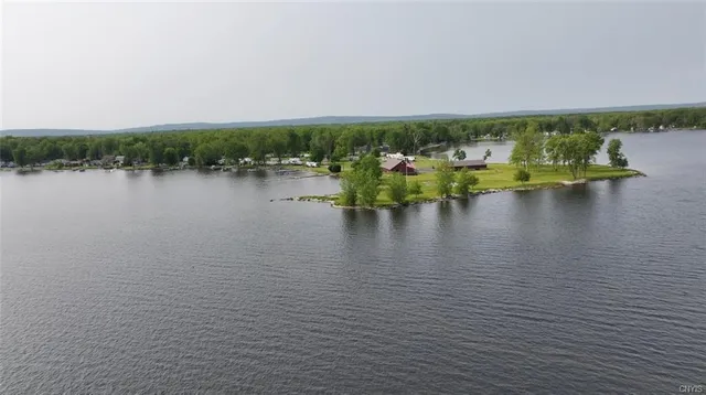 a view of river covered by trees