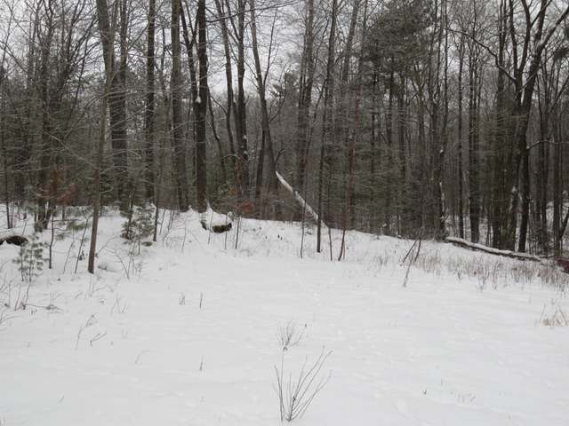 4329 West Lake George Road Rhinelander, WI 54501 - Photo 5 of 7 Gallery Image 5