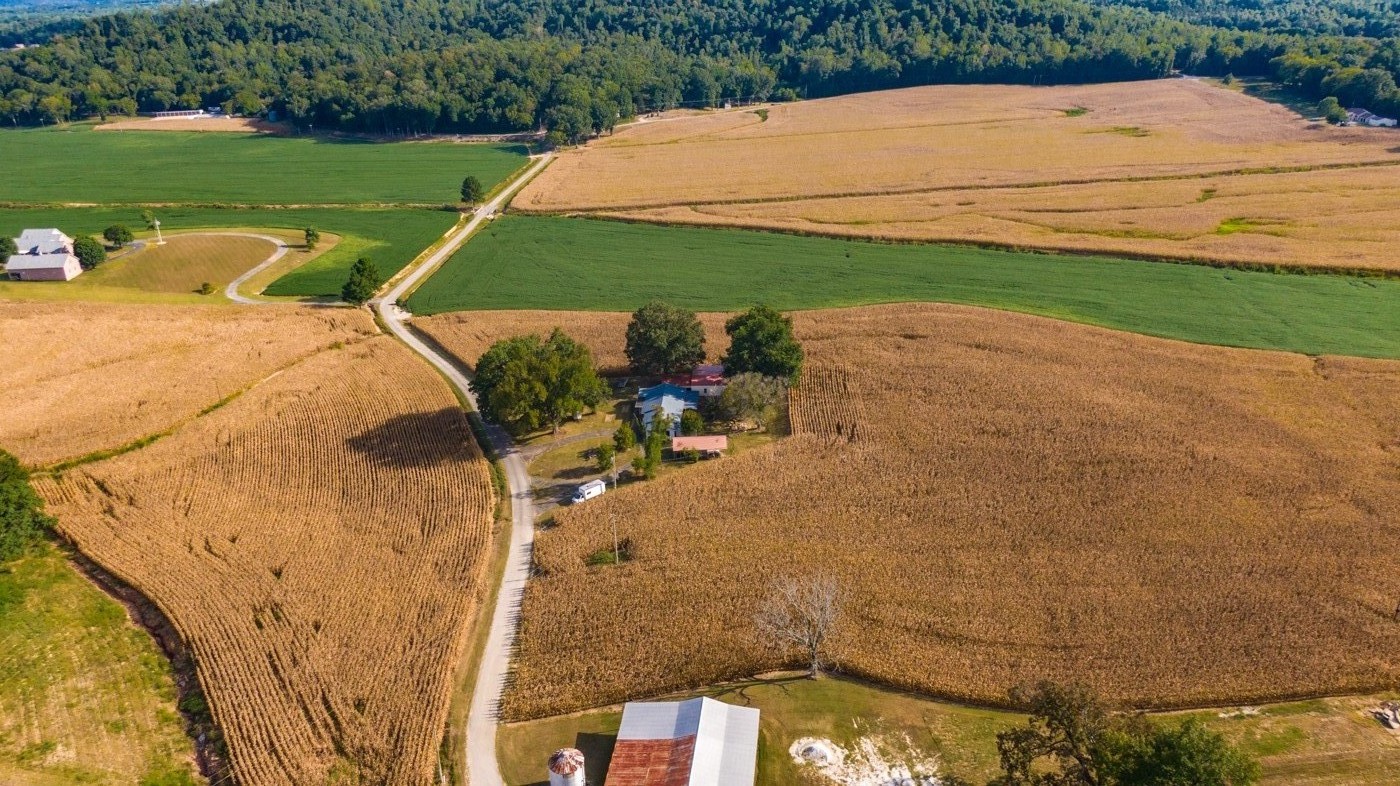 1318 Vise Loop Decaturville, TN 38329 - Photo 11 of 61