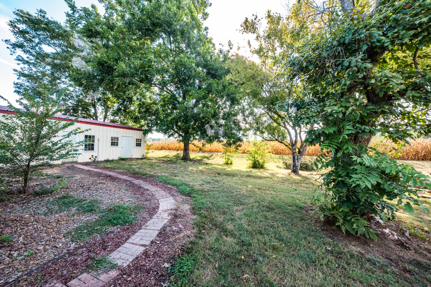 1318 Vise Loop Decaturville, TN 38329 - Photo 17 of 61 a view of a house with backyard and a tree