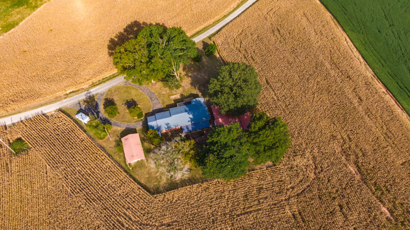 1318 Vise Loop Decaturville, TN 38329 - Photo 39 of 61 a view of a garden