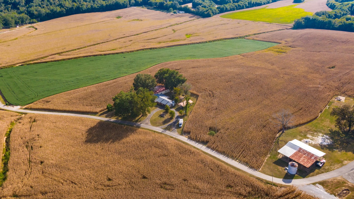 1318 Vise Loop Decaturville, TN 38329 - Photo 40 of 61 a view of a yard with an outdoor space