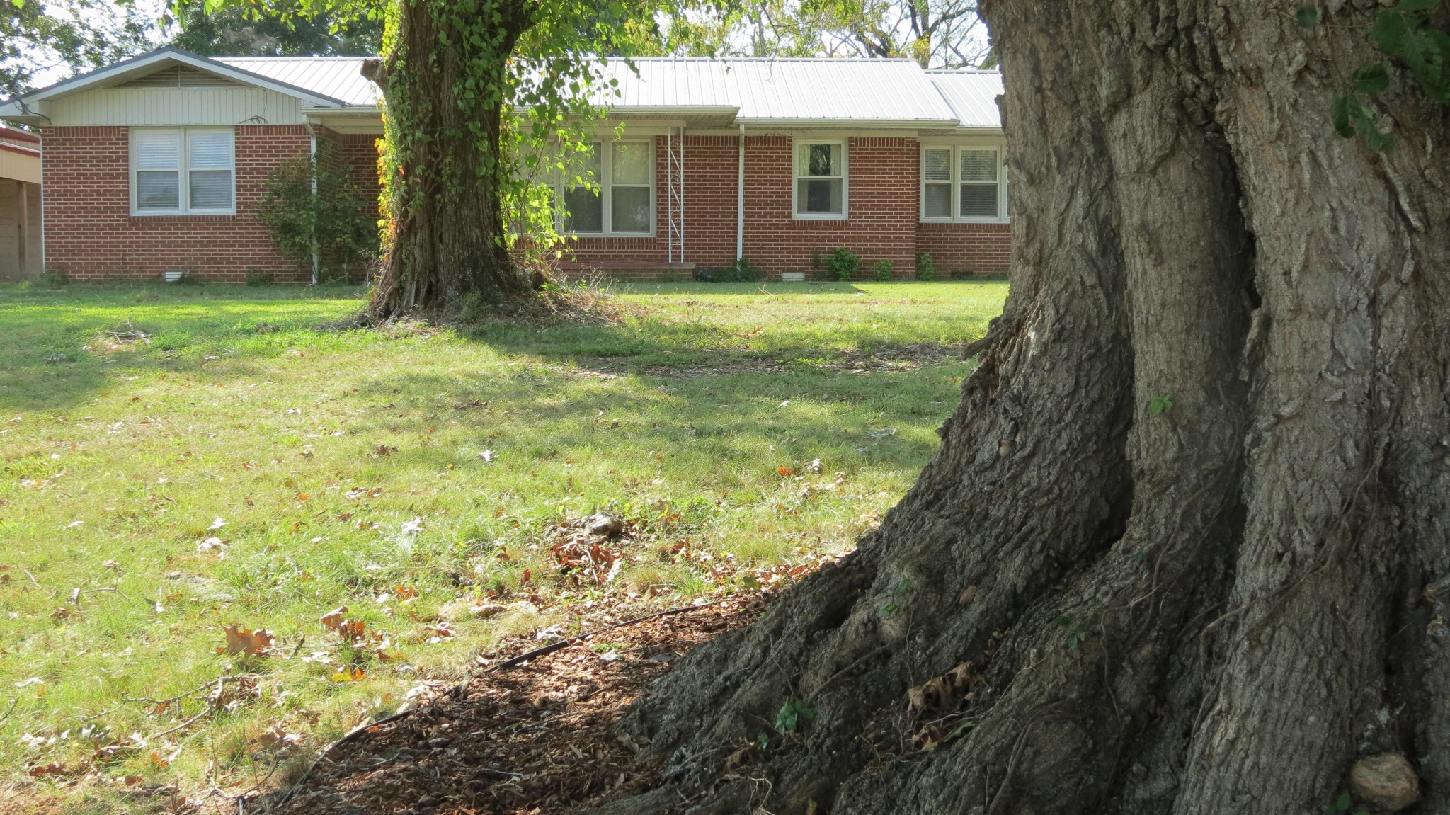 1318 Vise Loop Decaturville, TN 38329 - Photo 5 of 61 a view of a house with a yard