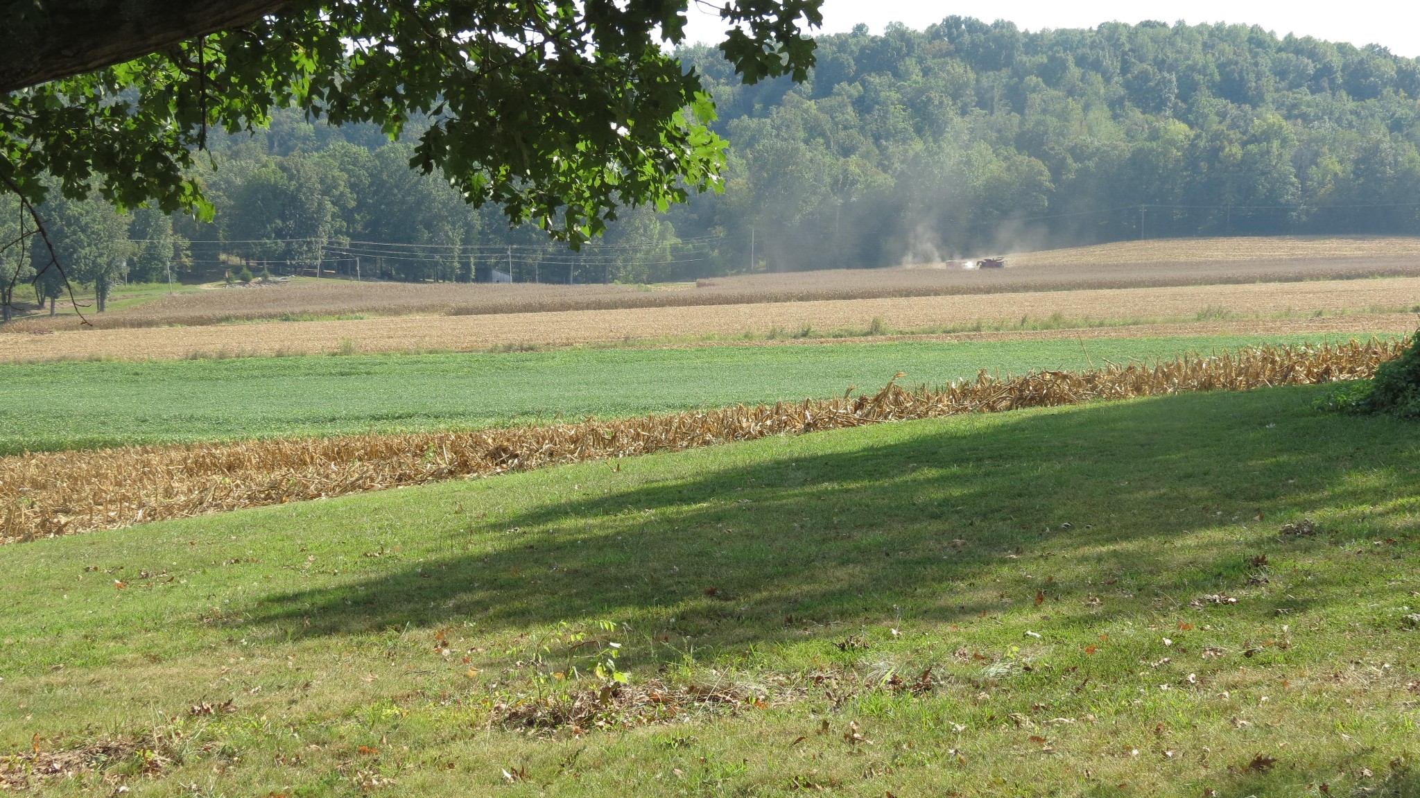 1318 Vise Loop Decaturville, TN 38329 - Photo 53 of 61